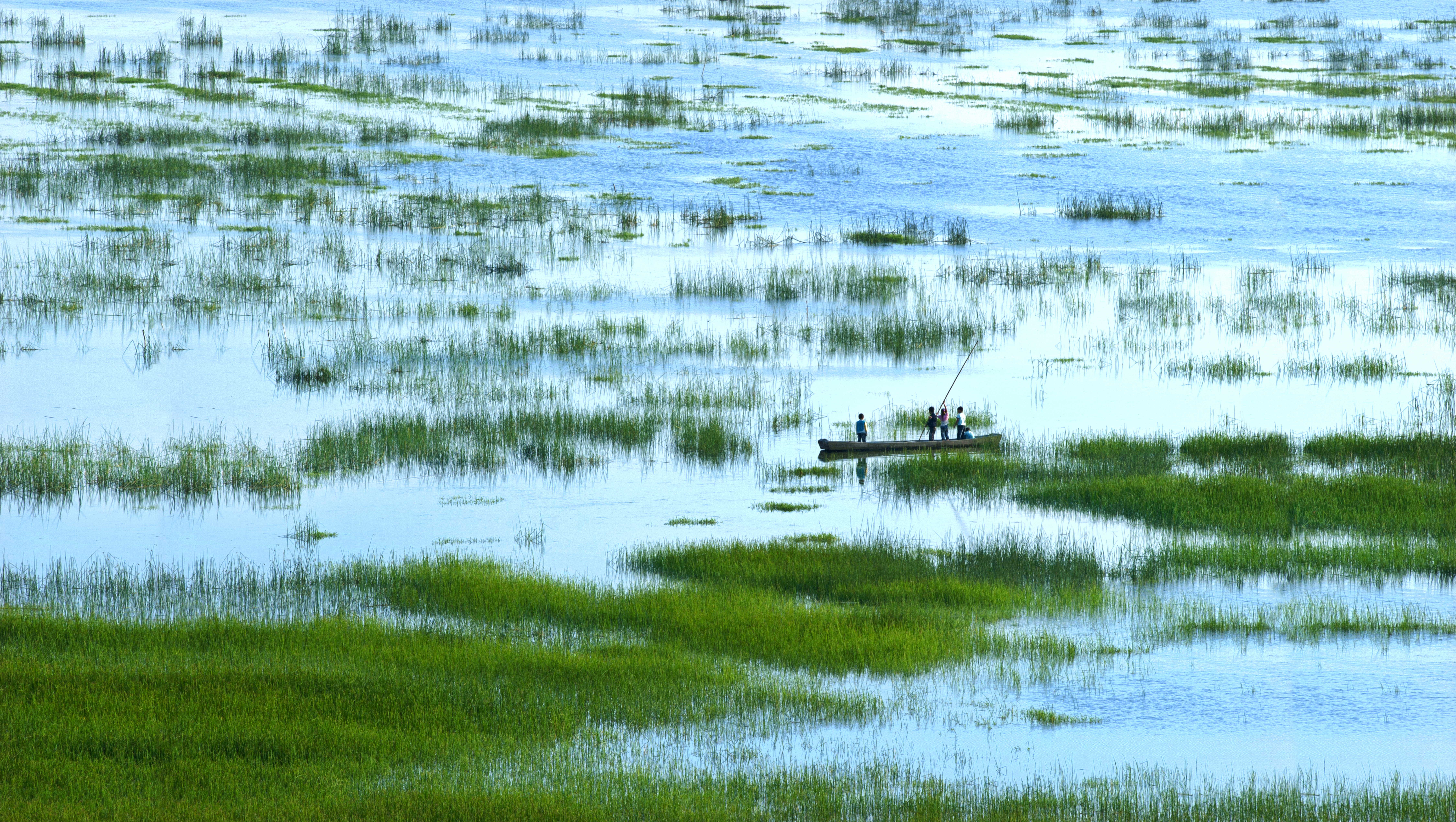 5909-威宁草海春色杜军.jpg