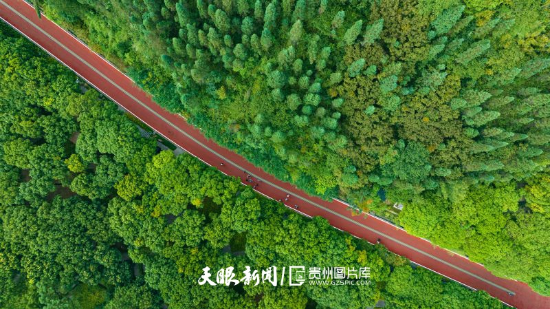 2023年9月4日拍攝的貴州興義萬峰林半馬賽道沿線照片（葉順強(qiáng) 攝）.jpg