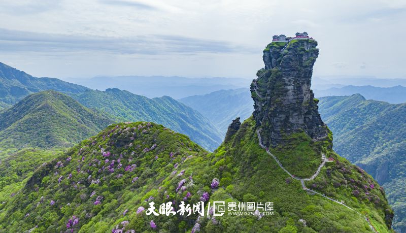 746471-5月6日在貴州省銅仁市梵凈山景區(qū)拍攝的杜鵑花（無人機(jī)照片）。.jpg