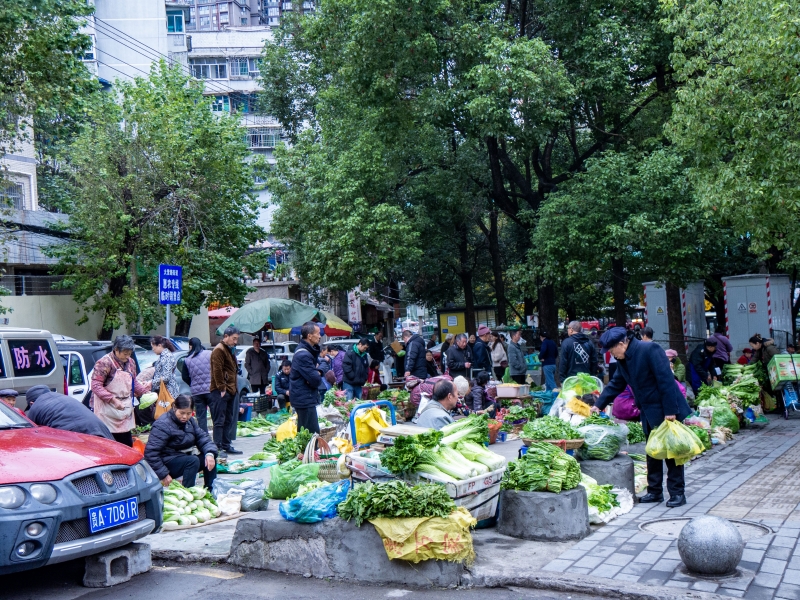 市民在大营坡街道惠农专线临时销售点采买蔬菜_副本.jpg