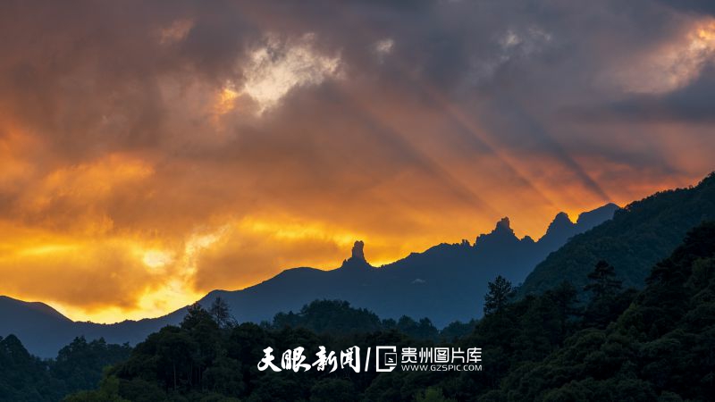 梵凈山朝霞。伍衛(wèi)東 攝.jpg