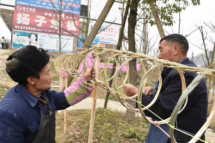 草塘火龍非遺傳承人曾祥貴正在制作草塘火龍1.jpg