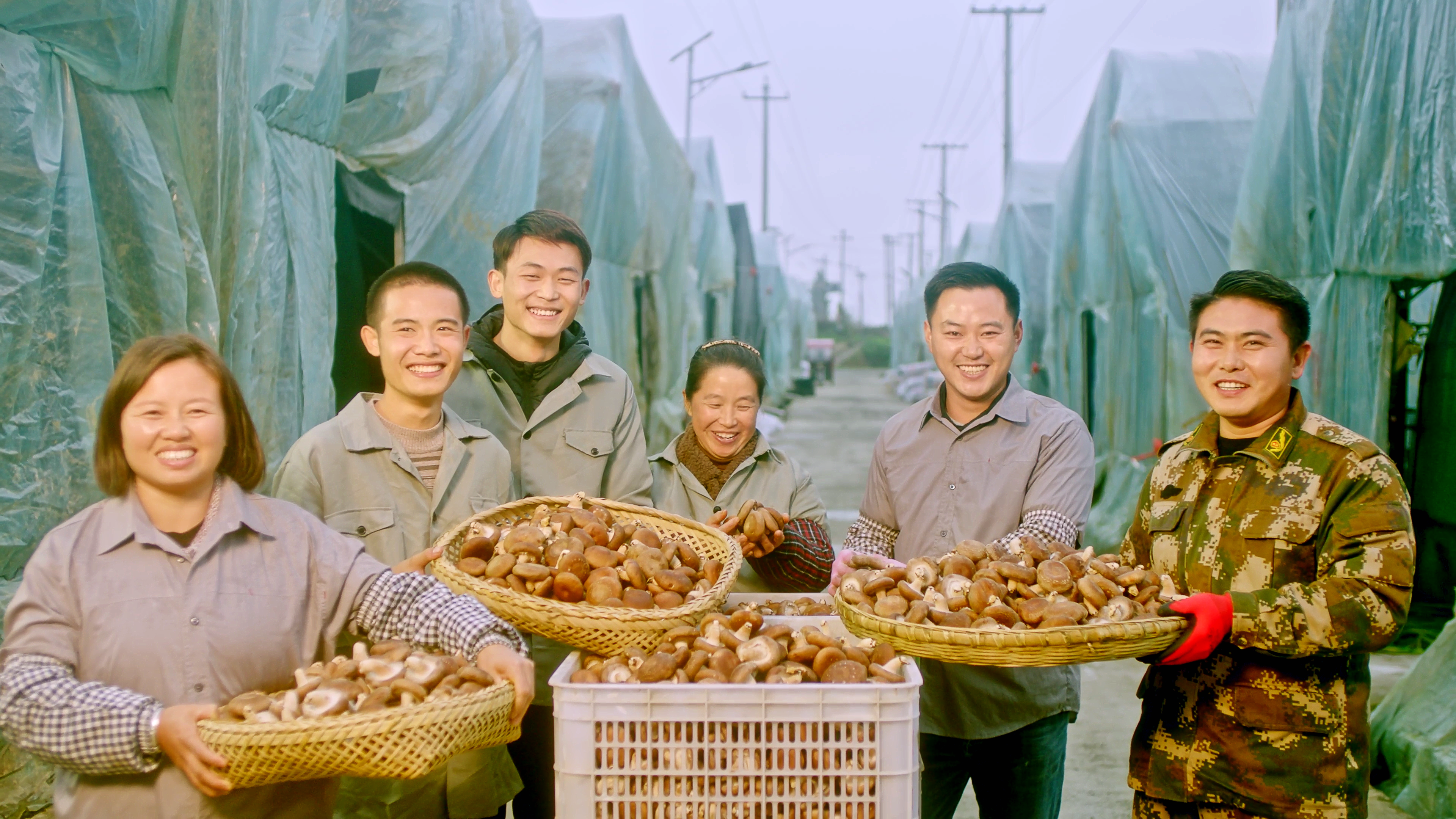 為大山中的父老鄉(xiāng)親創(chuàng)造更多福祉，是茅臺肩負的責任與擔當。圖為茅臺幫扶道真香菇產業(yè)發(fā)展.png